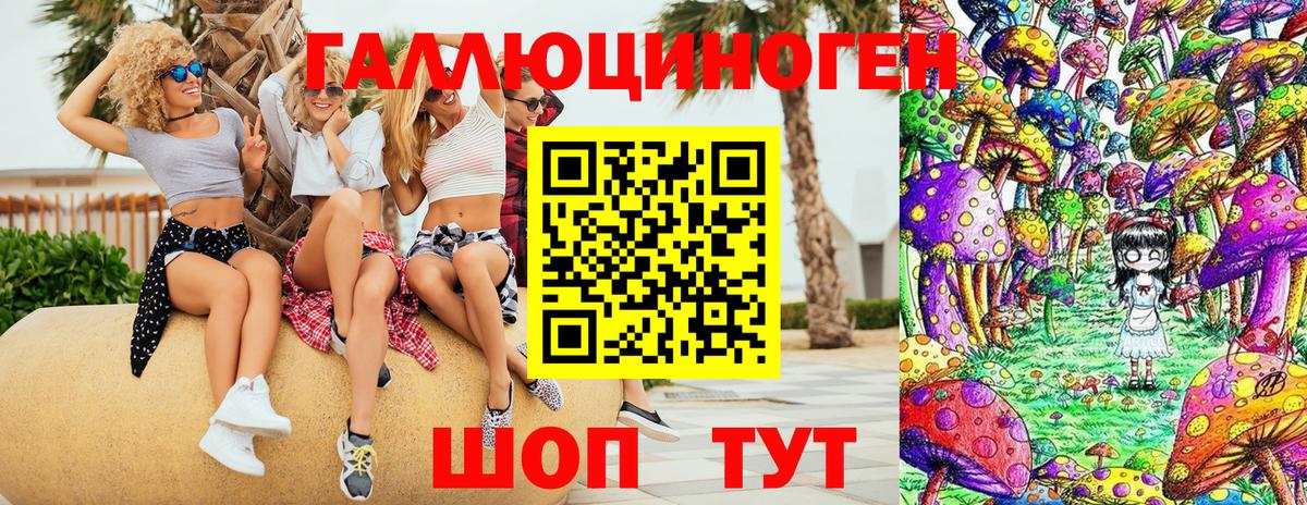 Псилоцибиновые грибы Psilocybe Менделеевск