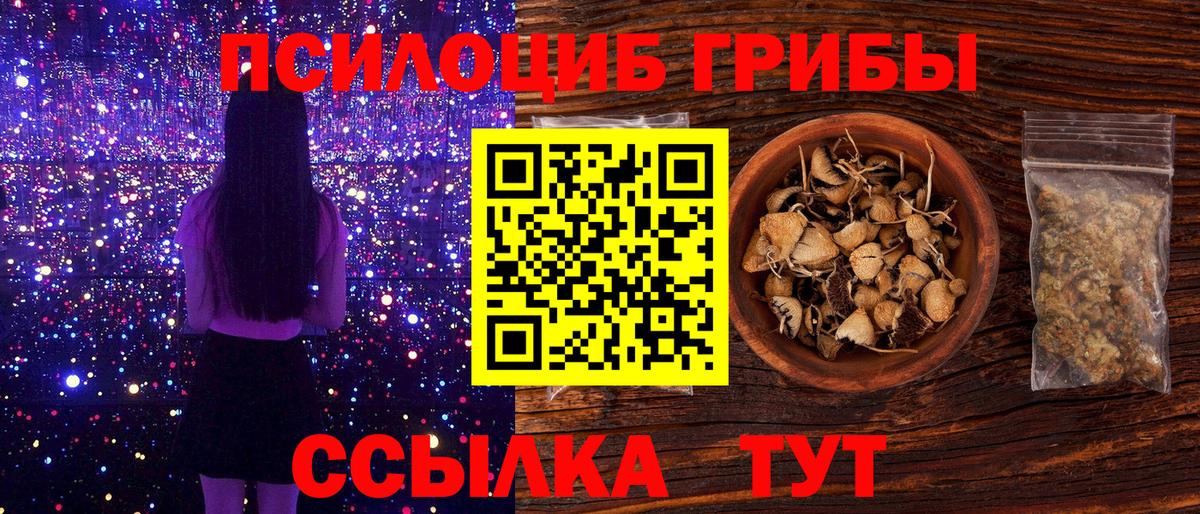 Псилоцибиновые грибы MAGIC MUSHROOMS  Вход с VPN  цена наркотик  Менделеевск 