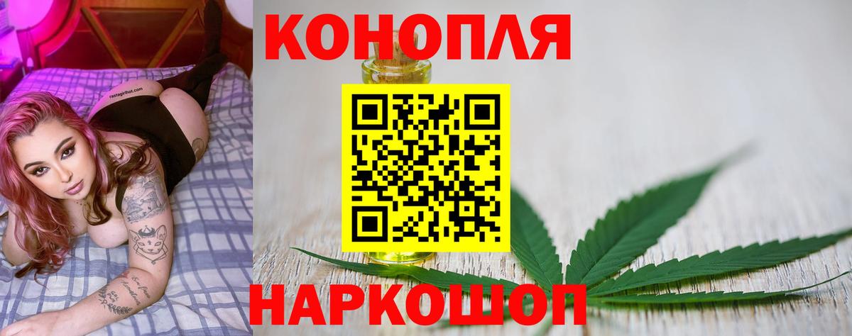 МАРИХУАНА сатива Менделеевск